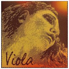 Corzi viola Evah Pirazzi gold
