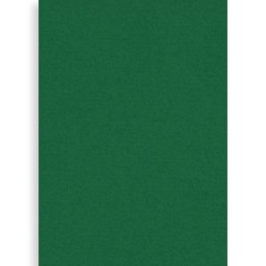 Postav verde 5 mm, 1,60 lat