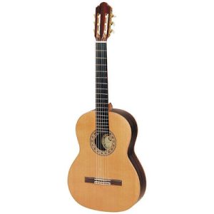 Chitara clasica Regun